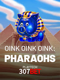 Experiência VIP 307bet